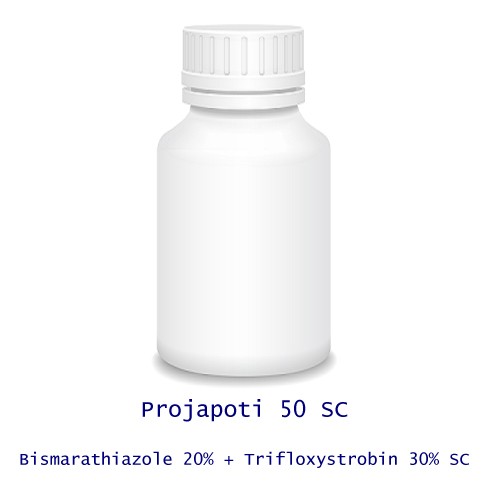 Projapoti 50 SC (Bismerathiazole 20% + Trifloxystrobin 30% SC)
